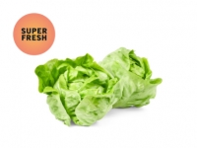Kopfsalatherzen CHF 1.99