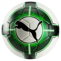 SportXX  Puma evoPOWER 5.3 Hardground Fussball