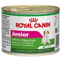 Qualipet  Royal Canin Hund Mini Junior Dose 12x195g