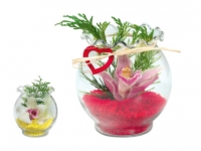 Orchidee im Wellenrandglas CHF&nbsp;2.99