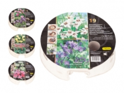 Zwiebelpflanzentray «Herbst» CHF 5.99