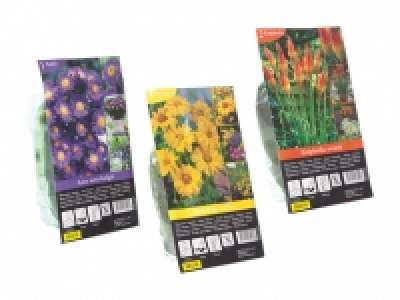Winterharte Staudenknollen CHF 1.49
