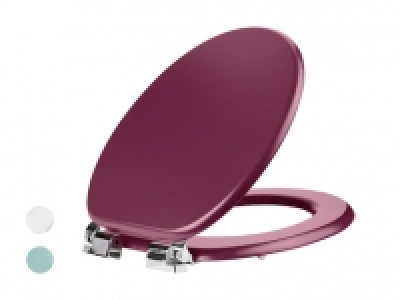 WC-Sitz CHF 17.99