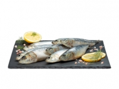 Sardinen CHF 4.99