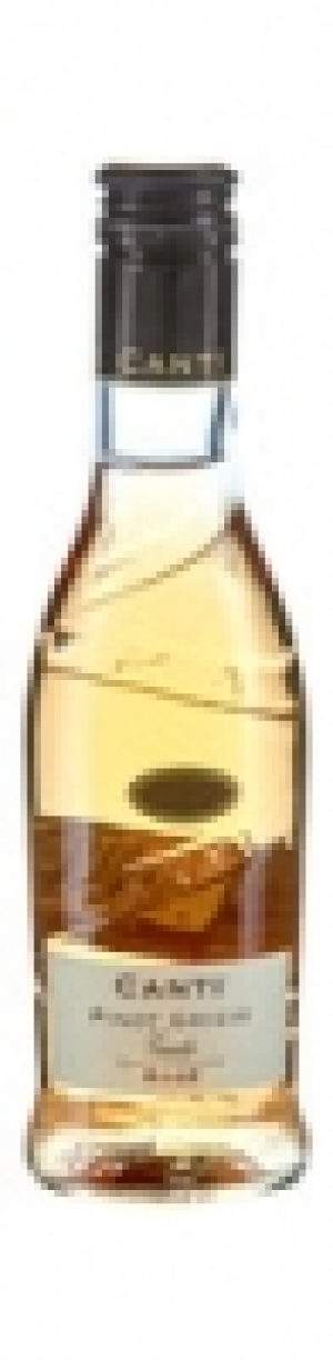 Veneto IGT Pinot Grigio Rosato Canti 2016 CHF&nbsp;1.45