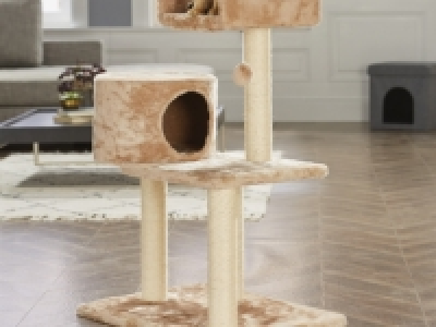 Kratzbaum CHF 39.90
