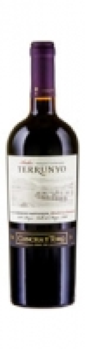 Terrunyo Cabernet Sauvignon Block Las Terrazas 2013 CHF 24.95