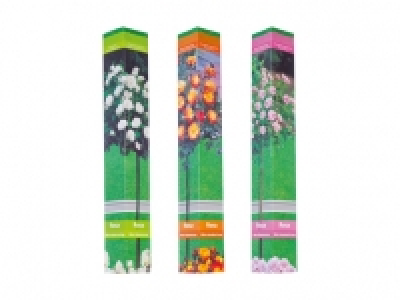 Rosenstamm in Faltschachtel CHF 6.99