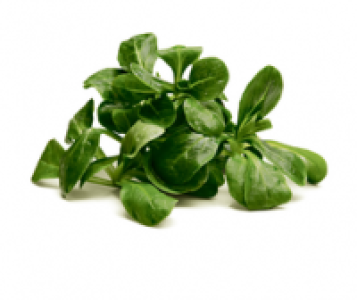 Nüsslisalat (exkl. Coop Betty Bossi), Schweiz, Packung à 200 g (100 g