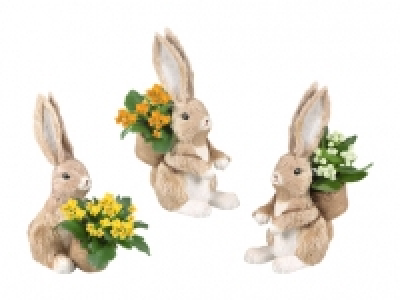Bepflanzter Osterhase CHF 4.99