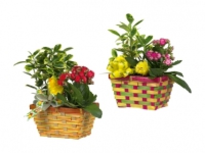 Osterkorb CHF 4.99