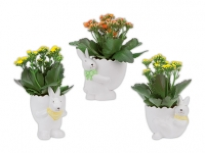 Bepflanzter Keramikosterhase CHF 3.99