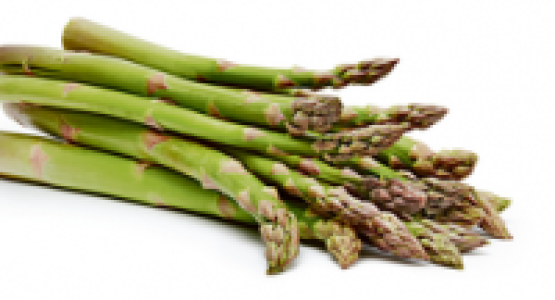 Spargel grün, Italien/Spanien/Portugal, Bund à 1 kg