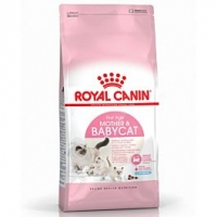 Qualipet  Royal Canin Babycat 34 2kg