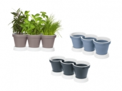 3er-Kräutertopf CHF 3.99