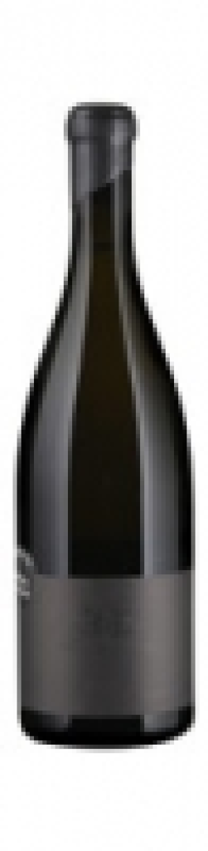 Weinviertel DAC Grüner Veltliner Black Edition Weingut Ebner-Ebenauer  CHF 46.50