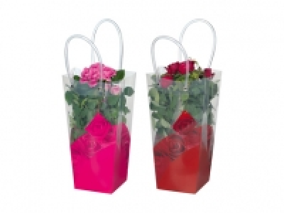 Topfrosen in Henkeltasche CHF 5.99