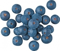 Denner  Blueberries