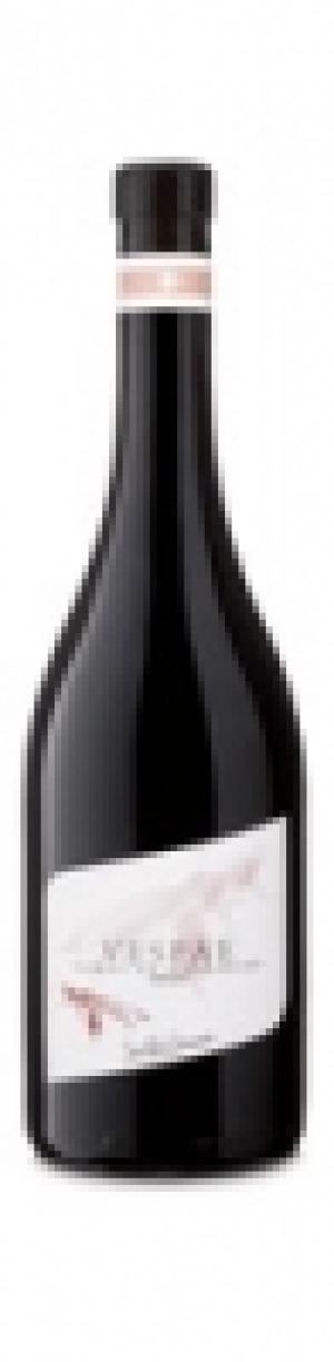Valais AOC Vespae Gamay de Bovernier Jean-Ren&eacute; Germanier 2015 CHF&nbsp;16.50