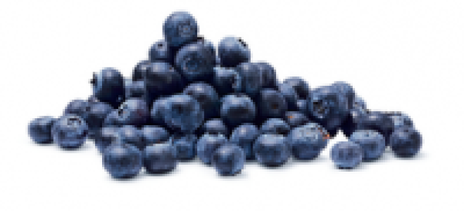 Coop Naturaplan Bio-Heidelbeeren, Spanien, Schale à 500 g (100 g = 1.3