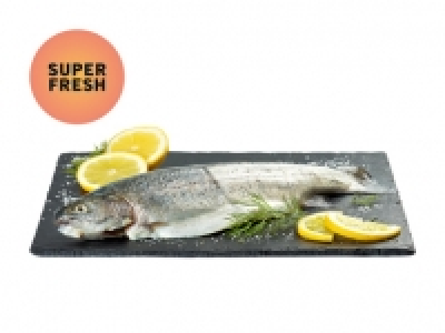 ASC Regenbogenforelle CHF 1.39