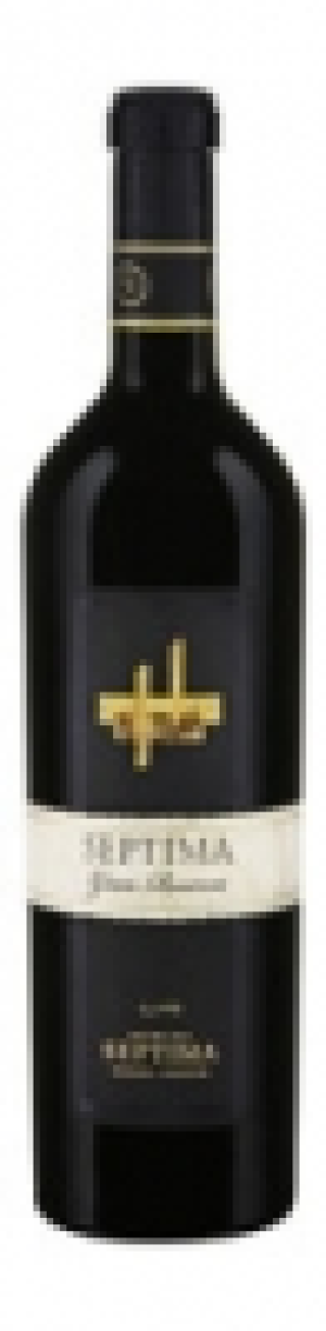 Mendoza Argentina Gran Reserva Bodega Septima 2015 CHF 15.95