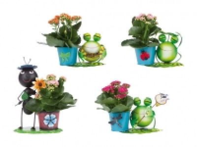 Zinkfiguren mit Kalanchoe CHF 5.99