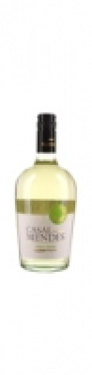 Casal Mendes Caves Aliança Vinho Verde DOC 2007 CHF 3.90