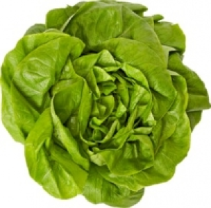 Kopfsalat CHF 1.00