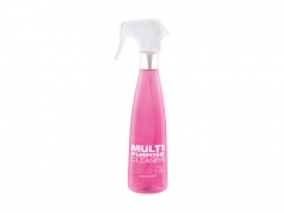 Allzweckreiniger CHF 2.49