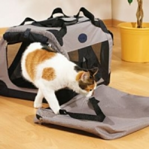 Freezack Faltbox Angera CHF 49.90