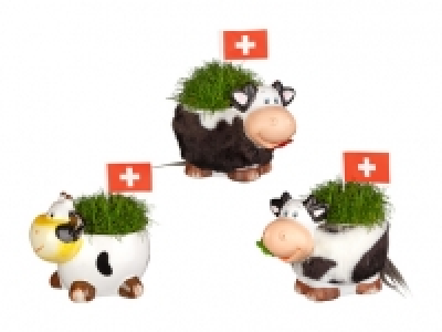 Sagina in Kuhdesign zum 1. August CHF 4.99