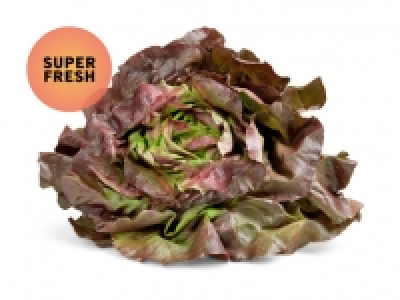 Kopfsalat rot CHF 0.89
