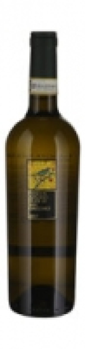 Fiano di Avellino DOCG Feudi di San Gregorio 2017