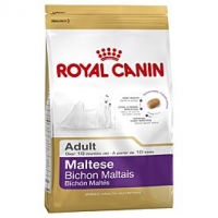 Qualipet  Royal Canin Adult Malteser
