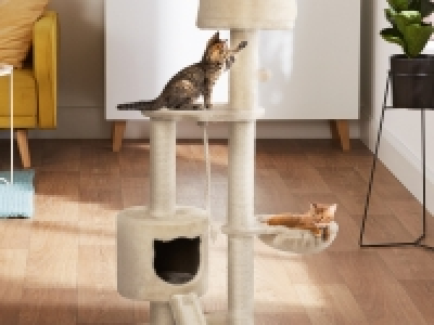 Kratzbaum CHF 49.90