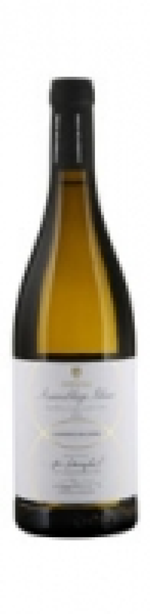 Valais AOC Assemblage Blanc Cooperation Wine Provins 2016 CHF 13.95