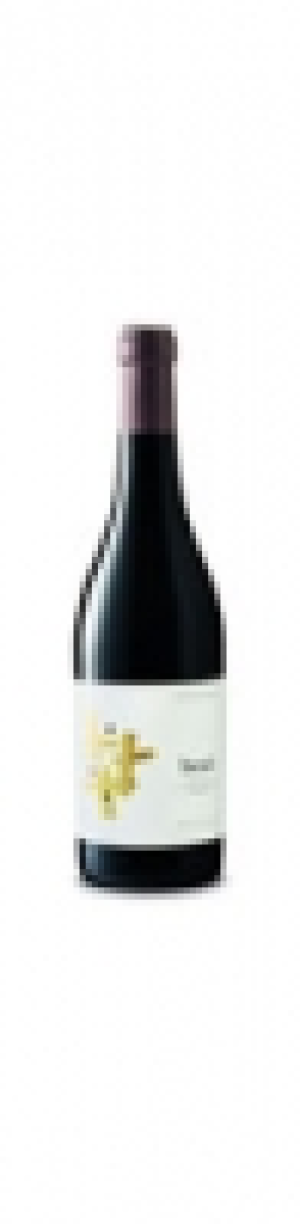 Montsant DO Braó Acústic Celler 2014 CHF 171.00