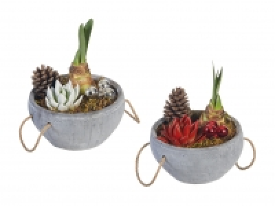 Amaryllis Arrangement Stone CHF 9.99