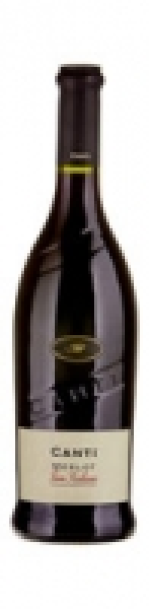 Canti Merlot Terre Siciliane IGT 2017 CHF 6.35