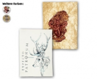 HARRY POTTER Decke