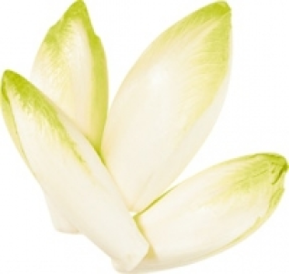Chicorée CHF 1.95