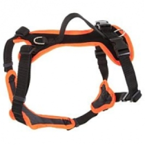 Grossenbacher Welpengeschirr Puppy FunRun Vario CHF 55.00