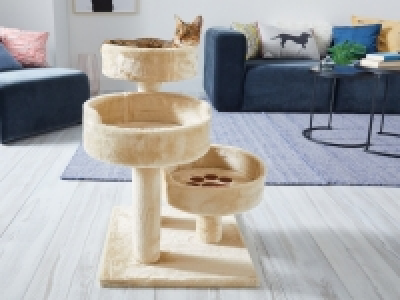 Kratzbaum CHF 39.90