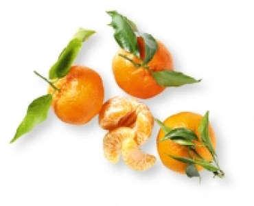 Premium Blattclementinen CHF 1.99