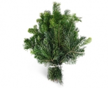Tannenzweige CHF 2.99