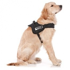 swisspet S.W.A.T. Geschirr für Hunde XL schwarz