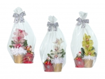 Orchideen-Gesteck mit Weihnachtsfigur CHF 7.99