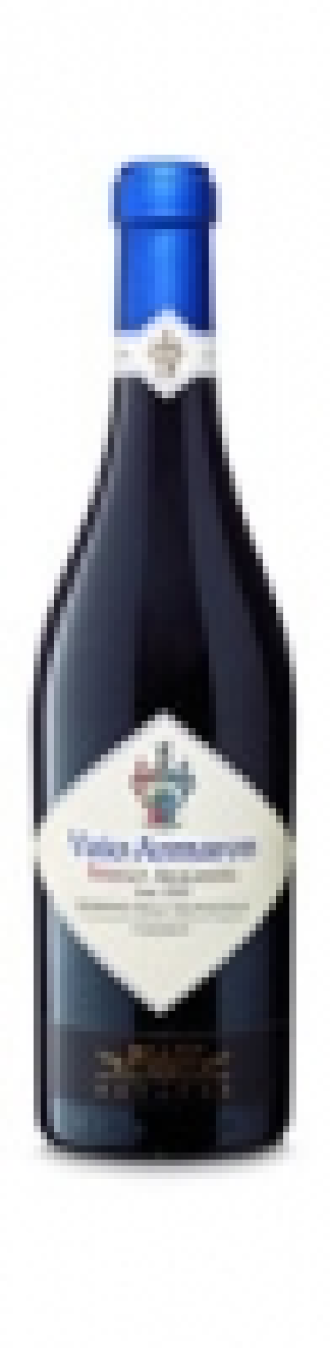 Amarone Classico della Valpolicella DOCG Vaio Armaron Serego Alighieri