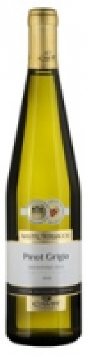 Mondovino  Trentino DOC Pinot Grigio Mastri Vernacoli 2018